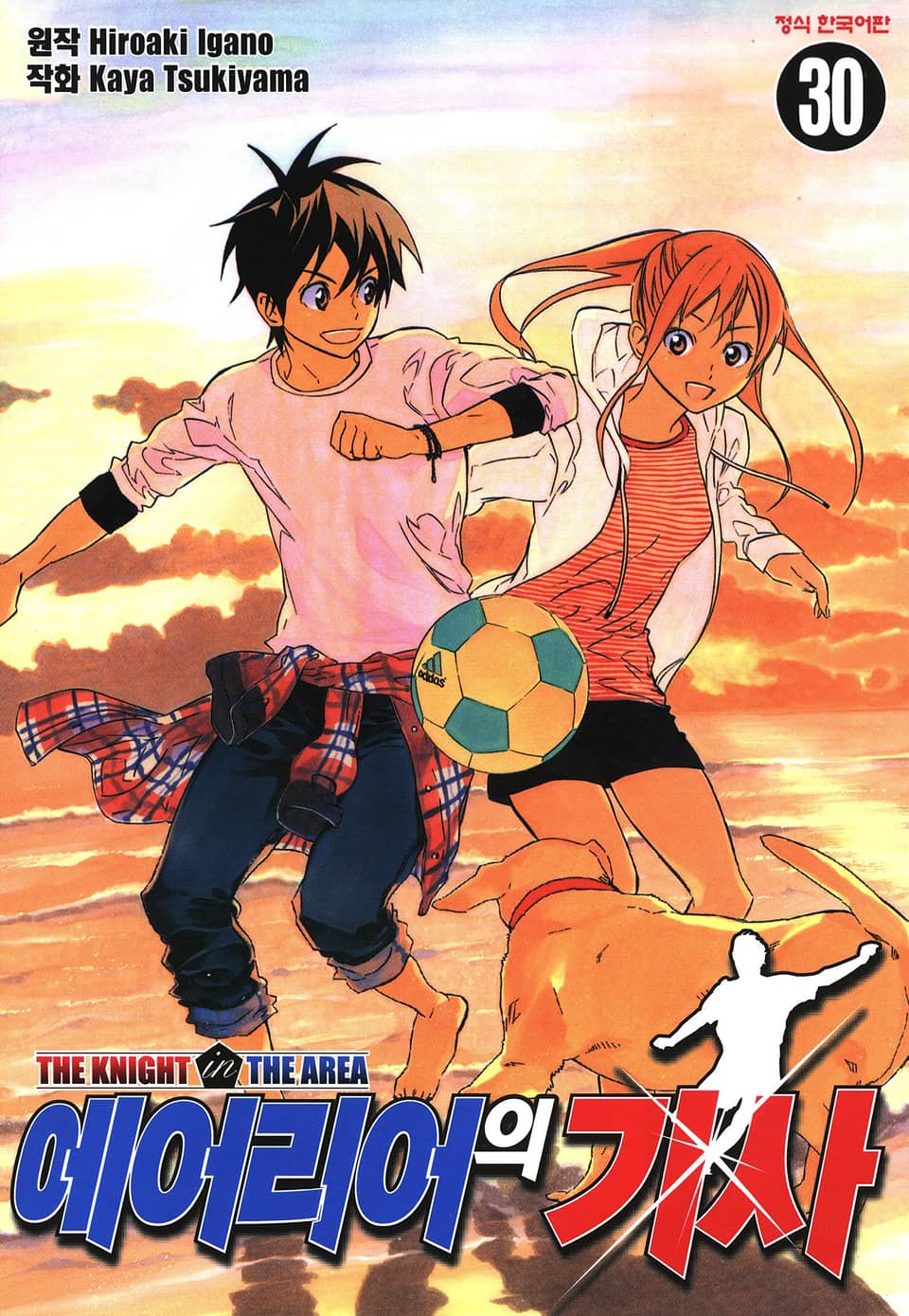 에어리어의 기사 30권