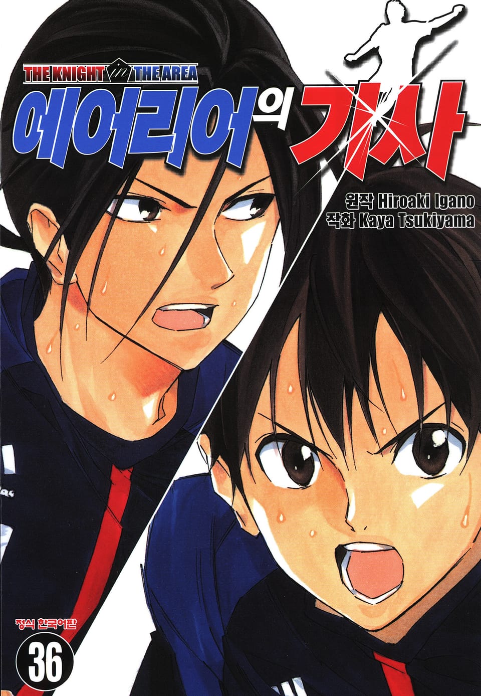 에어리어의 기사 36권