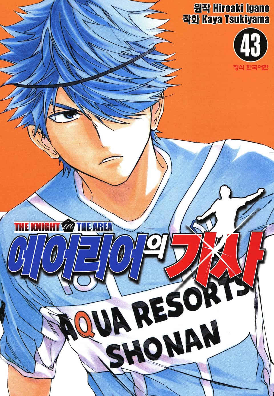 에어리어의 기사 43권