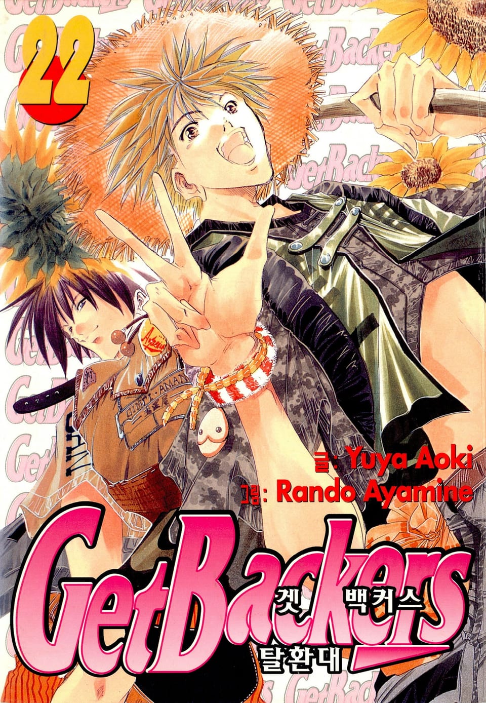 겟 백커스(Get Backers) 22권