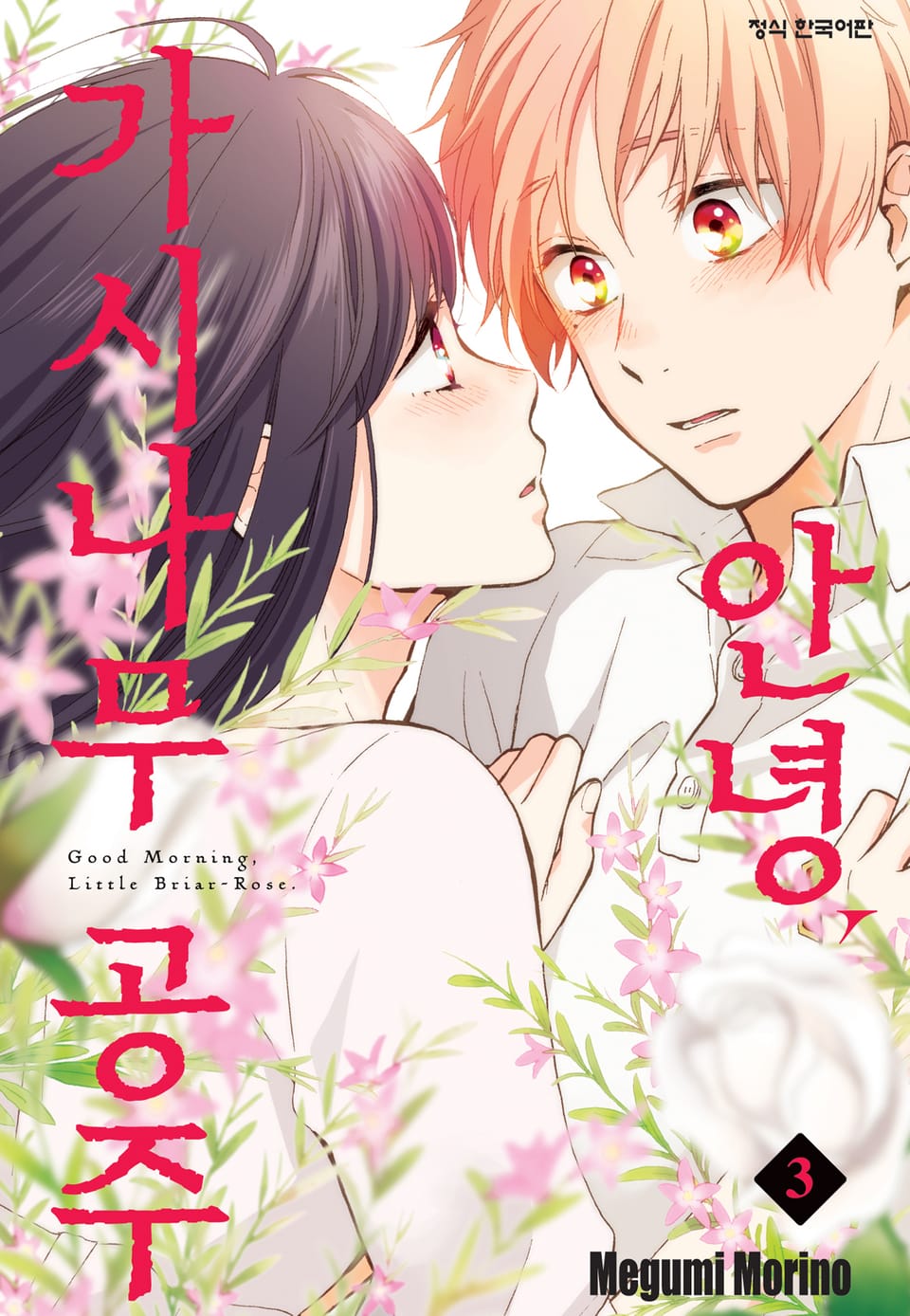 안녕, 가시나무 공주 3권