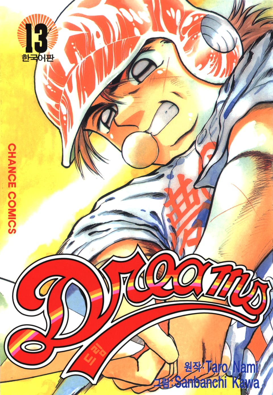드림 13권