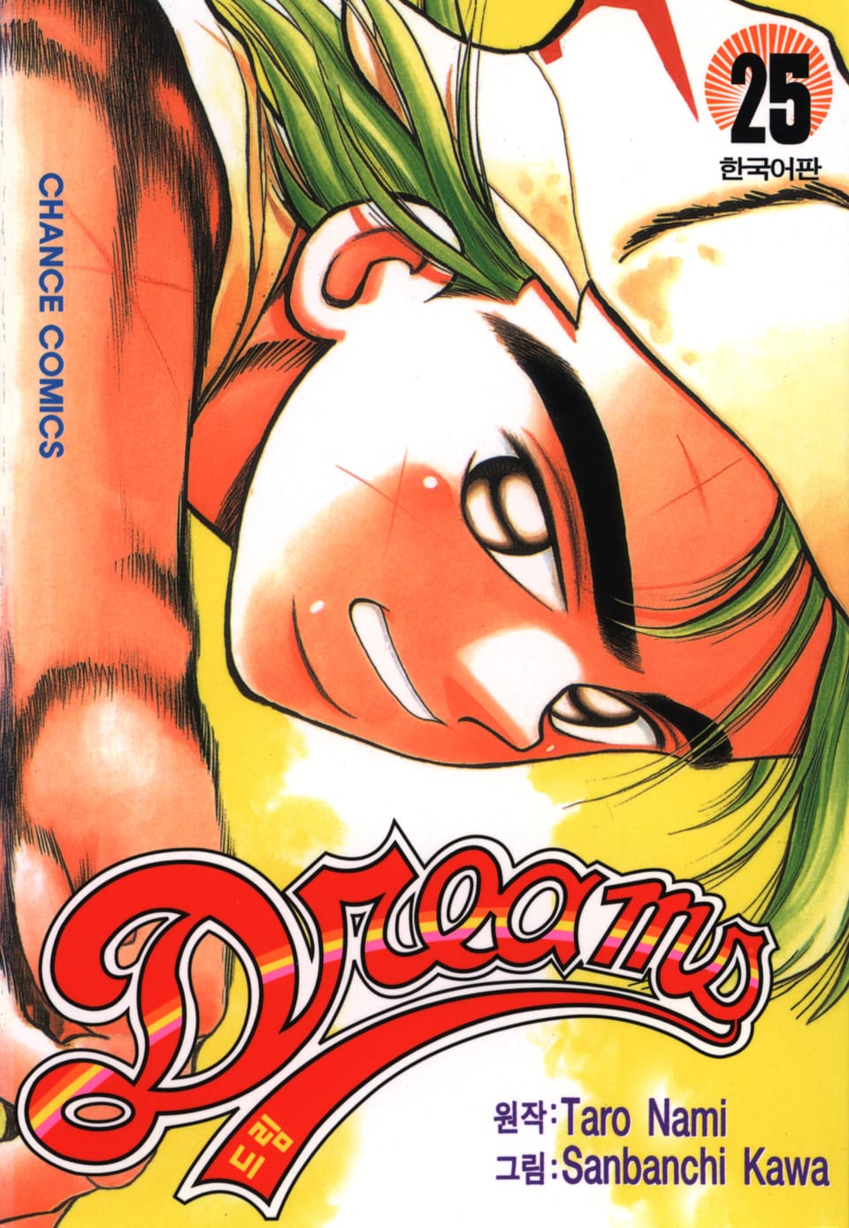 드림 25권