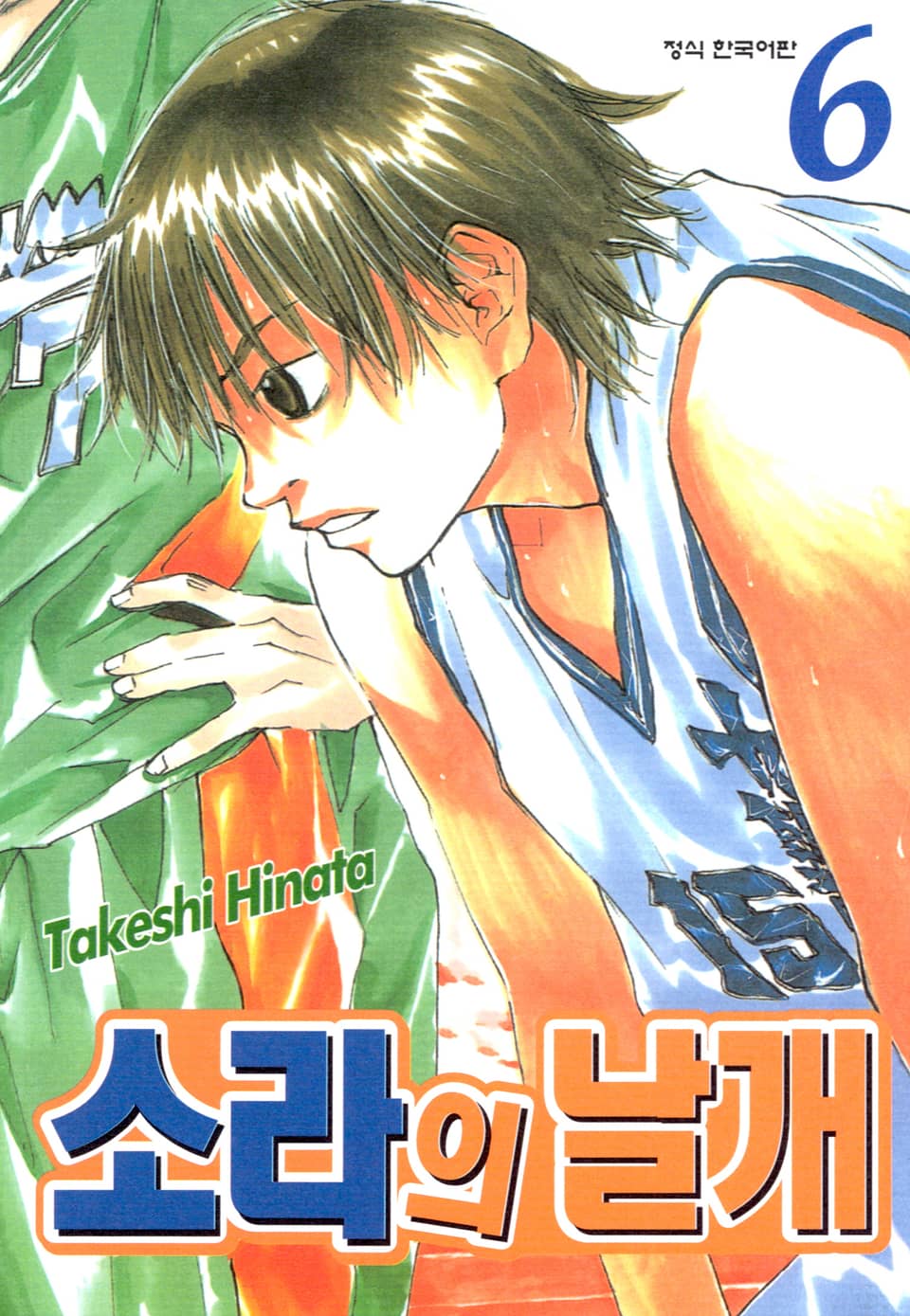 소라의 날개 6권