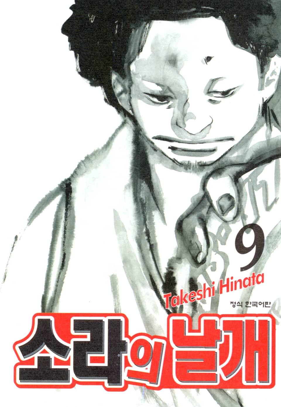 소라의 날개 9권