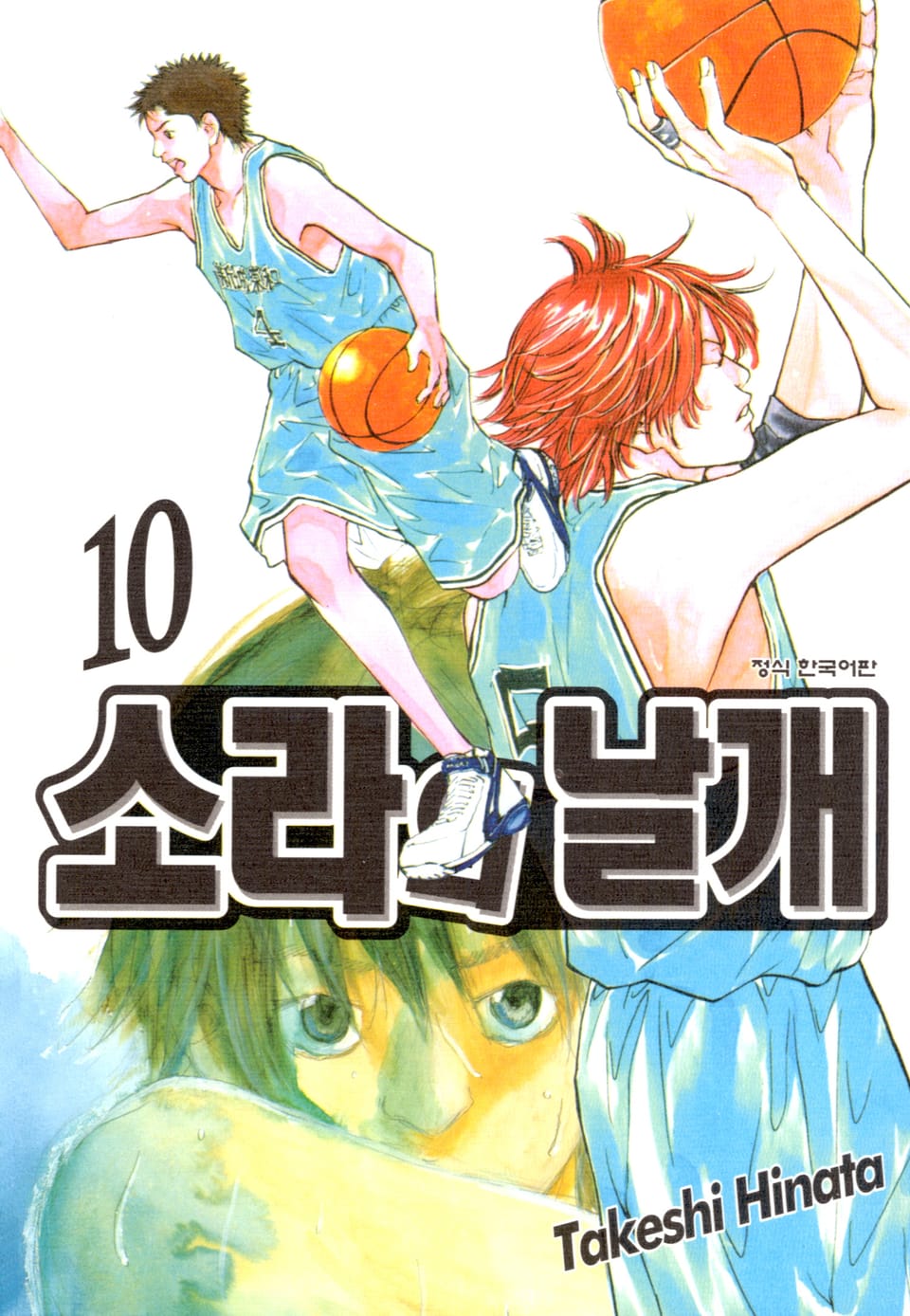 소라의 날개 10권