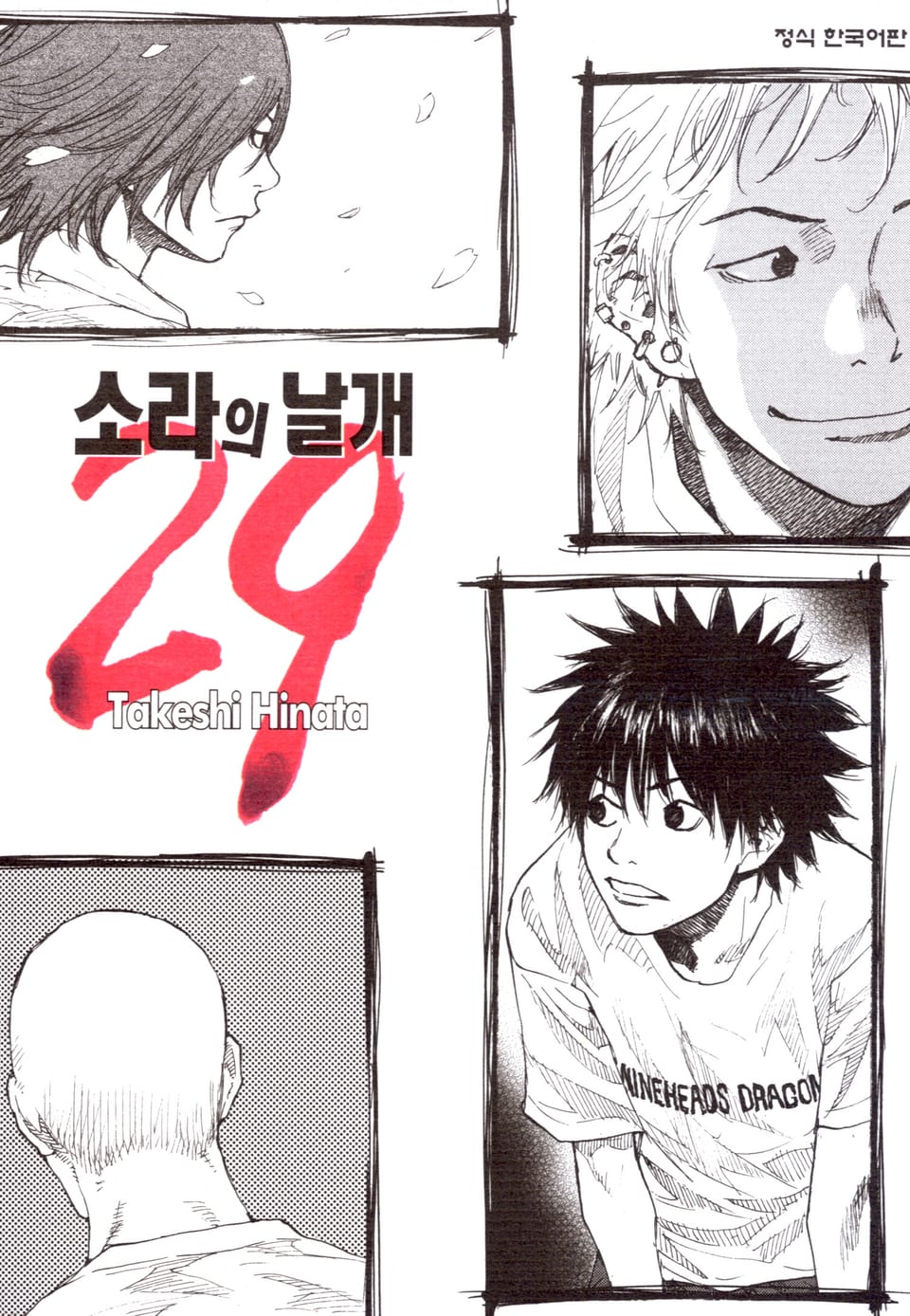 소라의 날개 29권