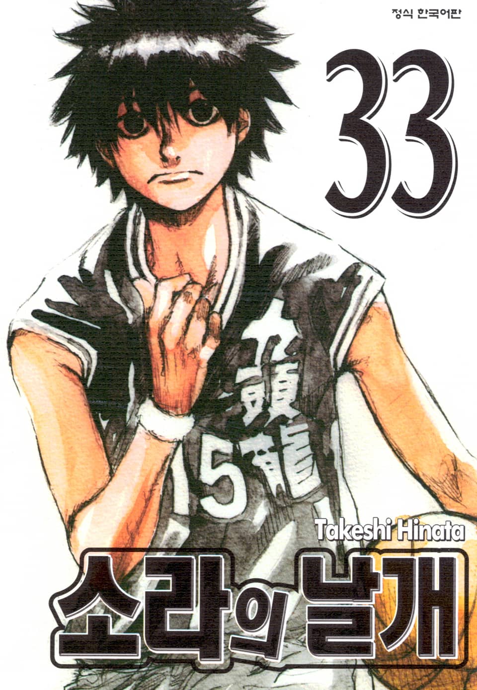 소라의 날개 33권