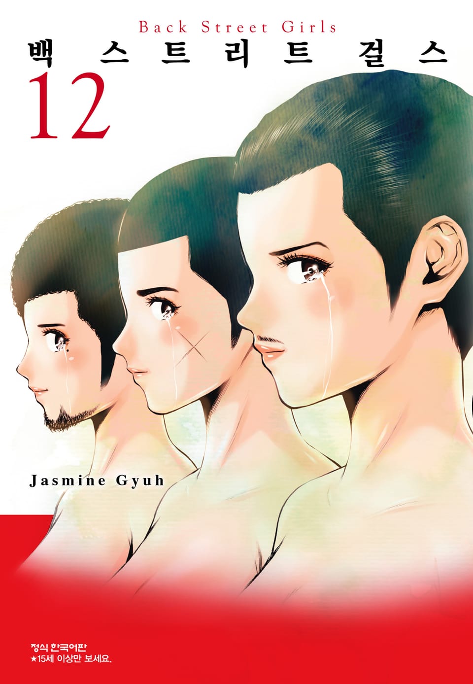 백 스트리트 걸스 (Back street girls) 12권 (완결)