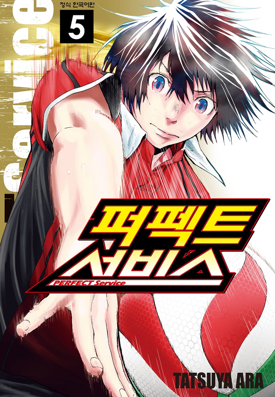 퍼펙트 서비스 5권