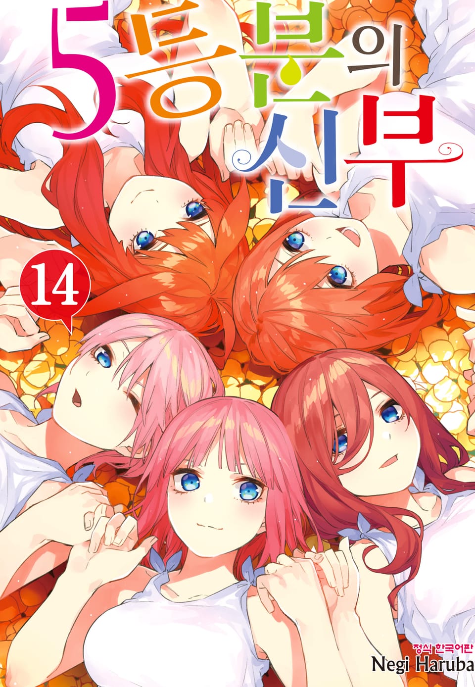 5등분의 신부 14권 (완결)