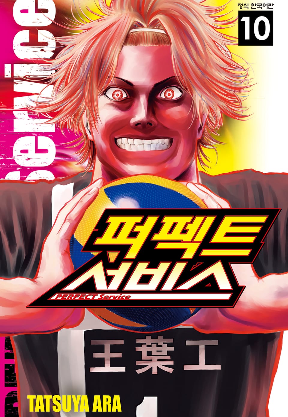 퍼펙트 서비스 10권