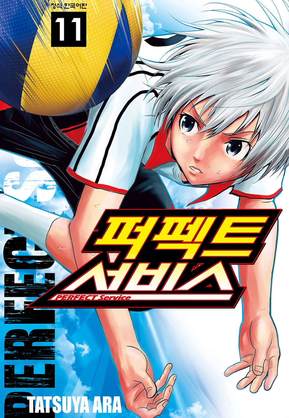 퍼펙트 서비스 11권