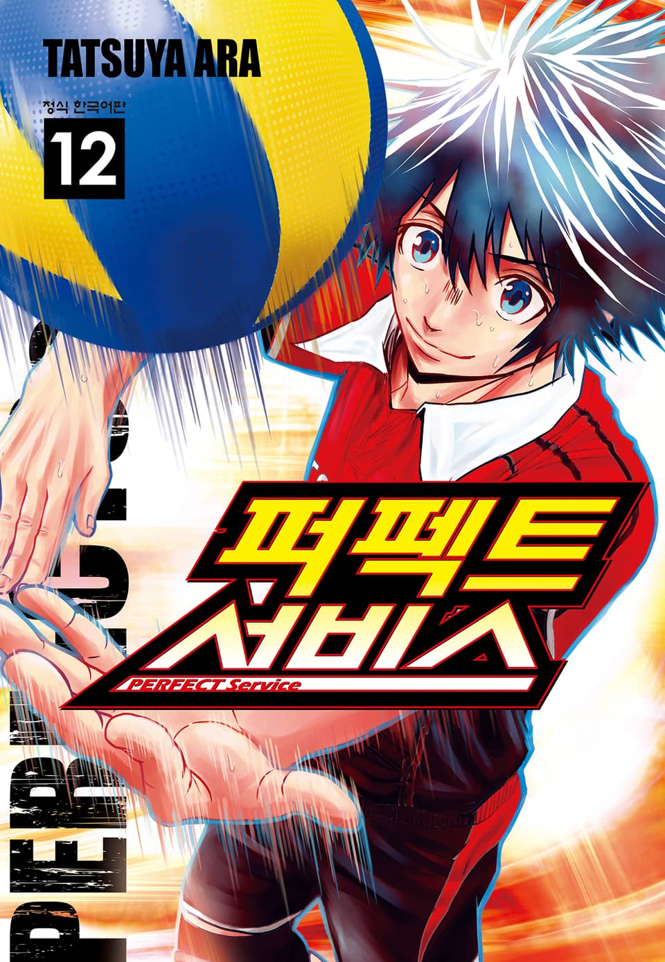 퍼펙트 서비스 12권