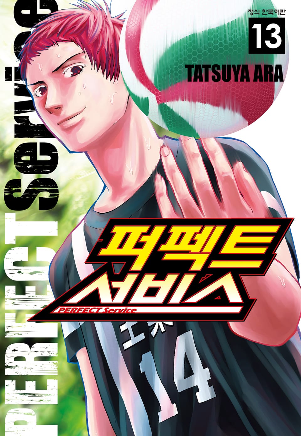 퍼펙트 서비스 13권