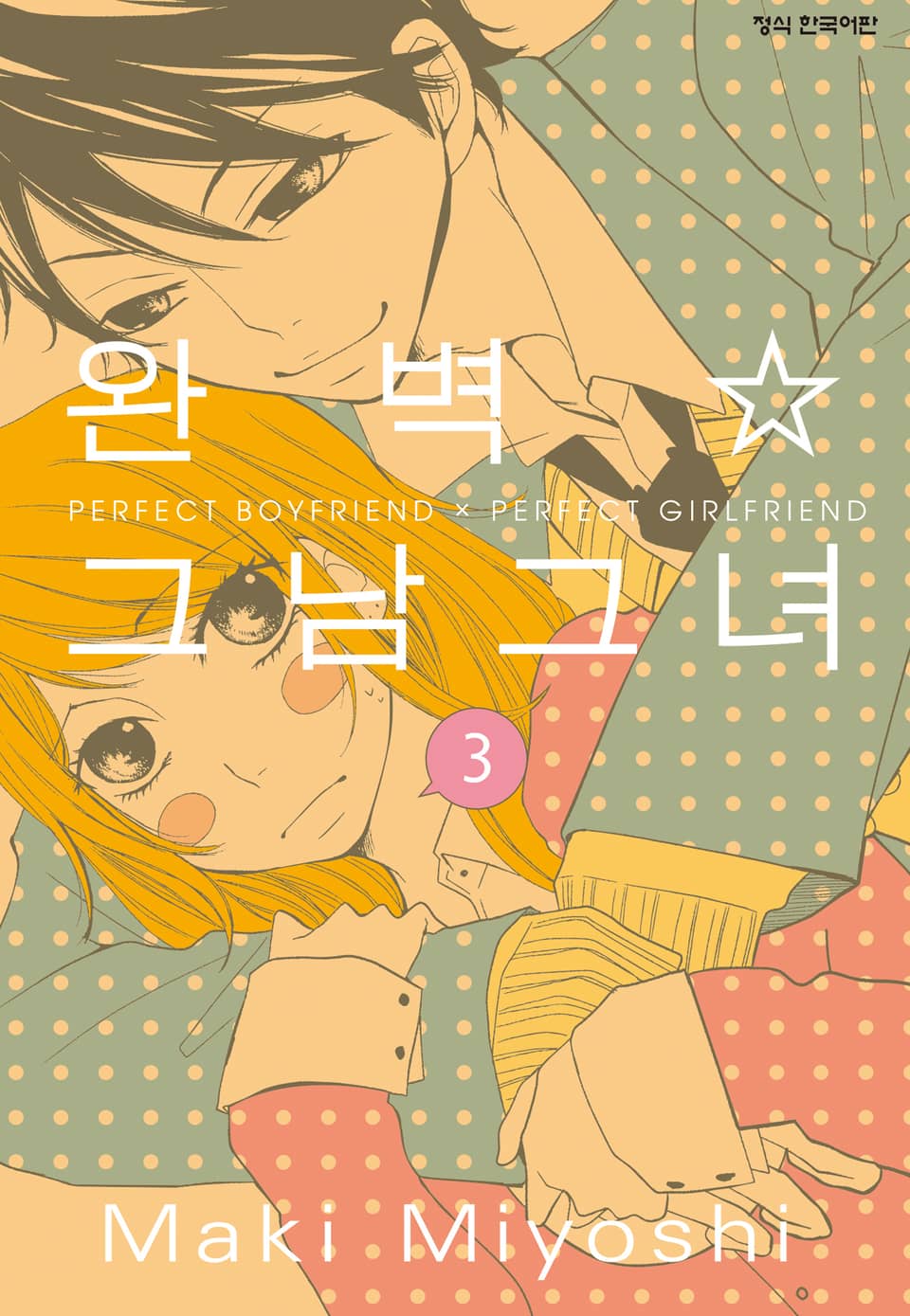 완벽 그남 그녀 3권 (완결)
