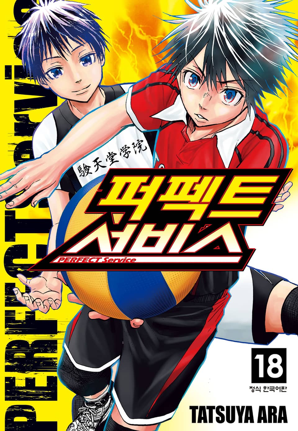 퍼펙트 서비스 18권
