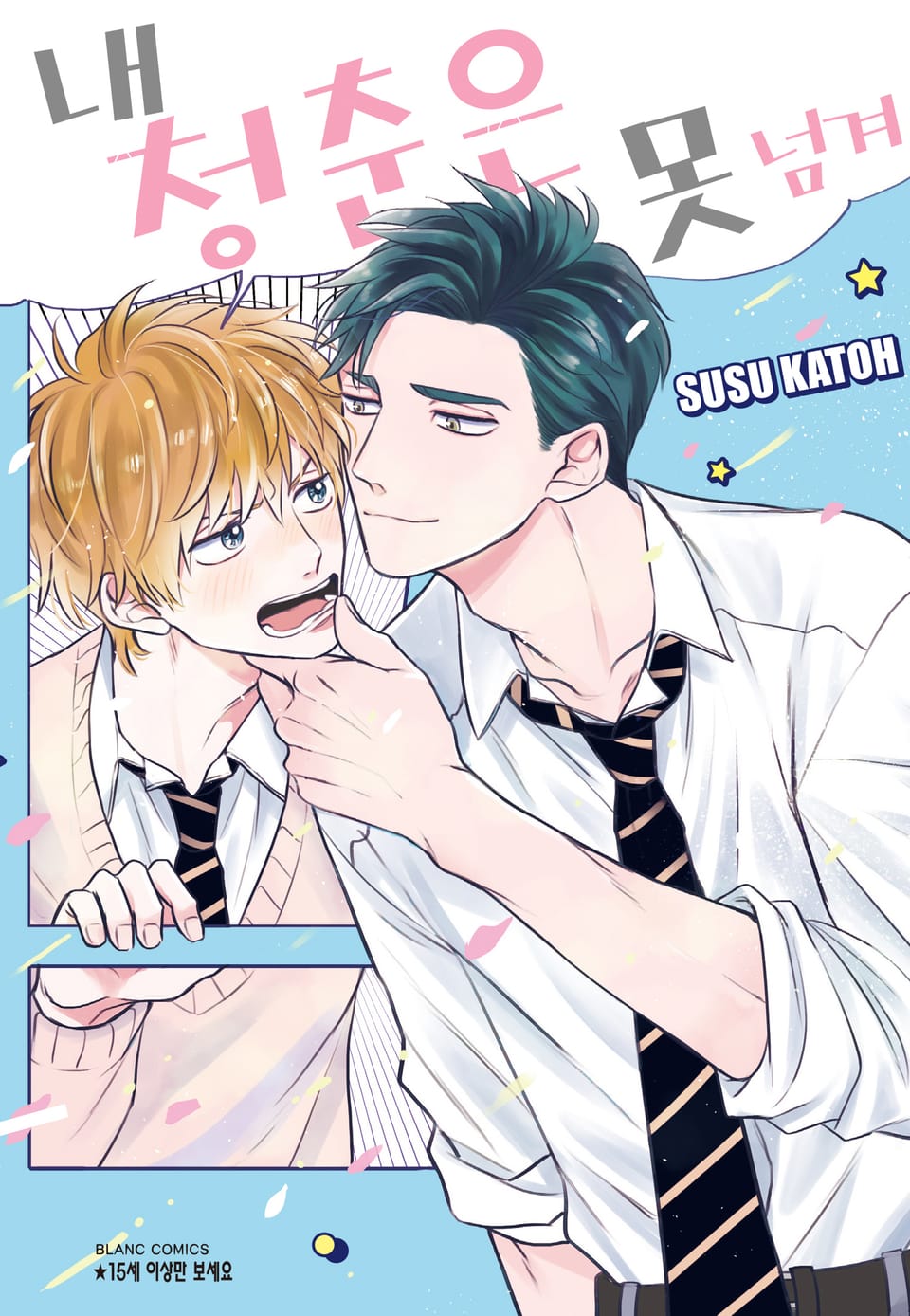 내 청춘은 못 넘겨 [개정판]