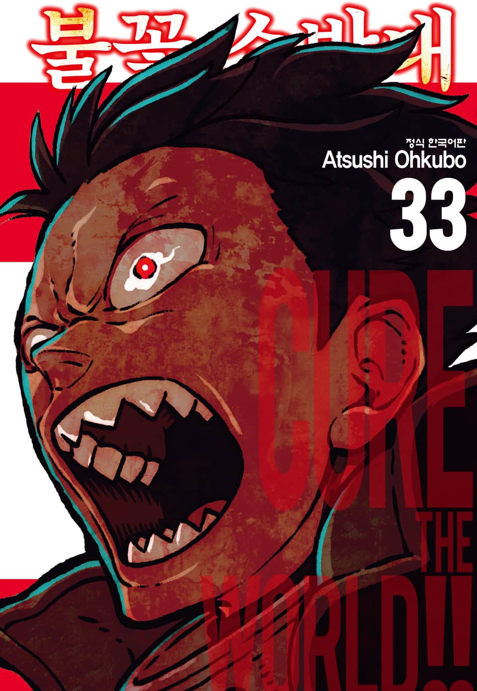 불꽃 소방대 33권