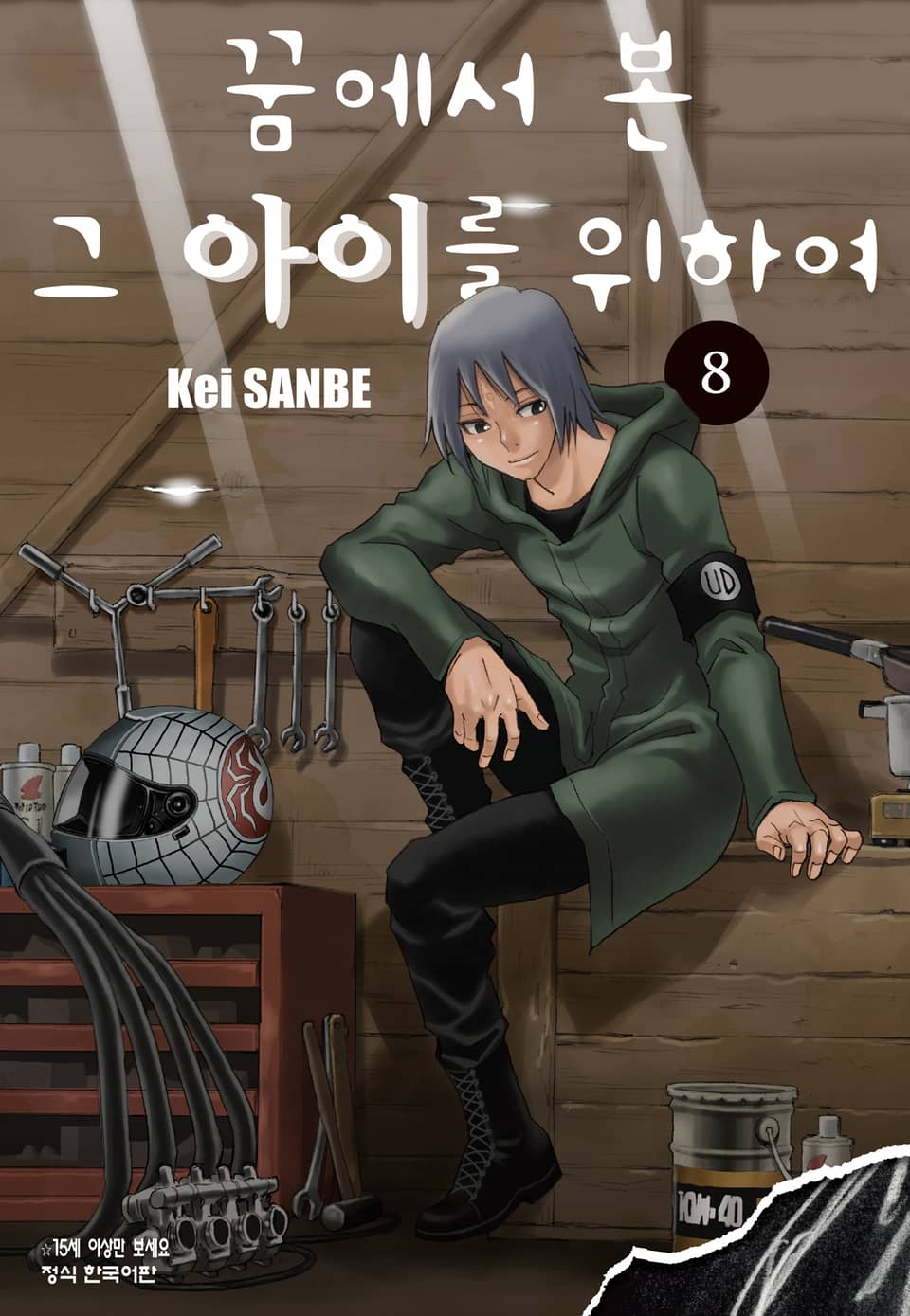 꿈에서 본 그 아이를 위하여 8권