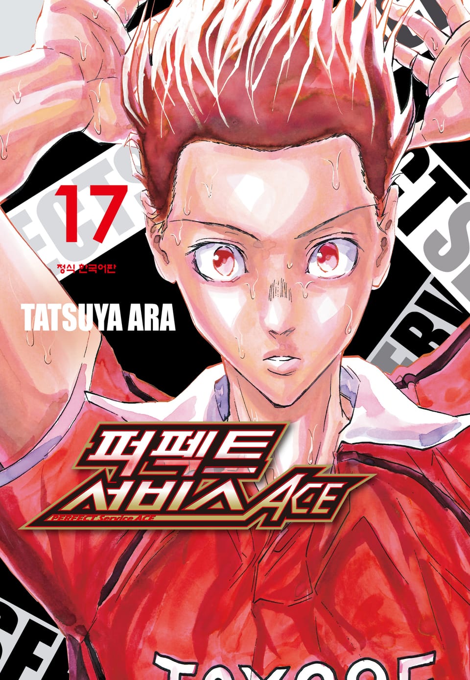 퍼펙트 서비스 ACE 17권