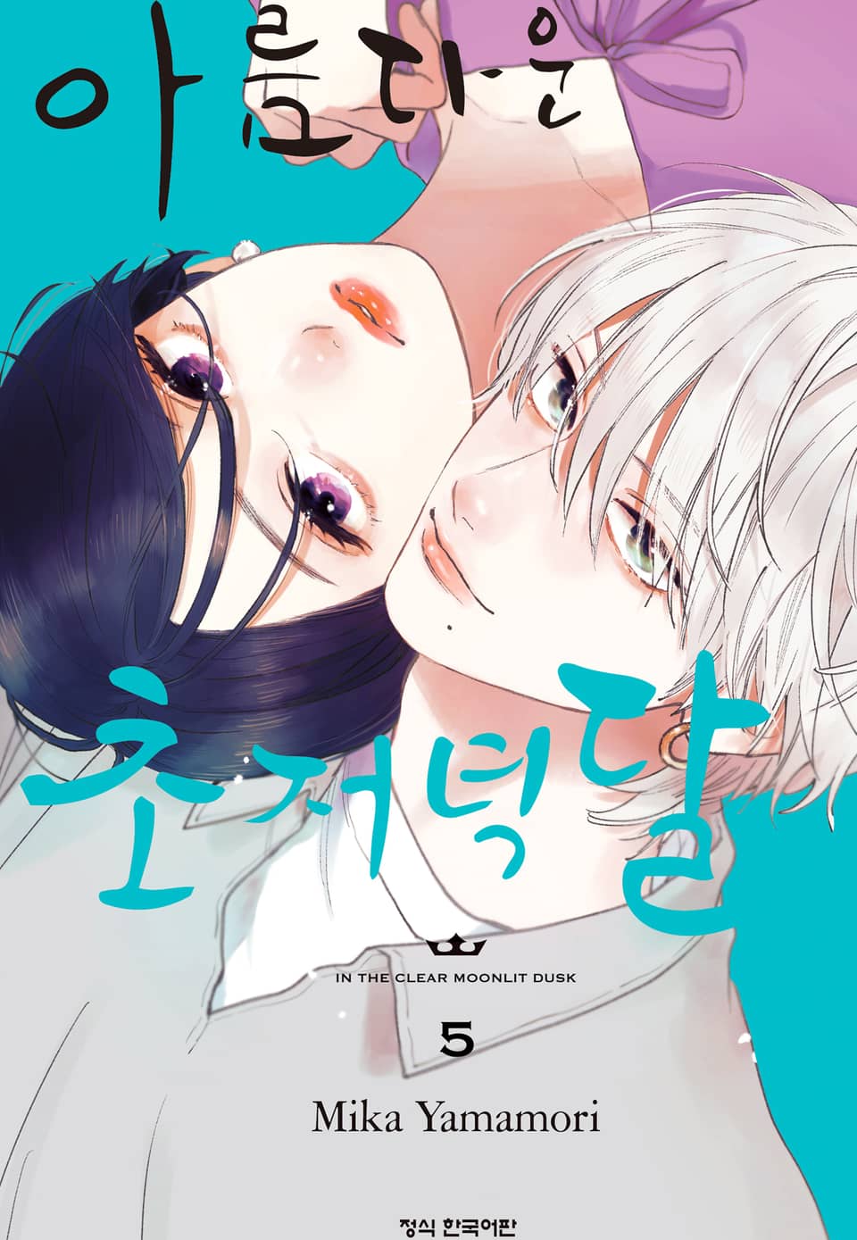 아름다운 초저녁달 5권