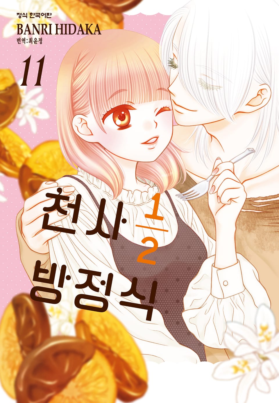 천사 1/2 방정식 11권