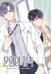 운명의 접촉 표지 이미지