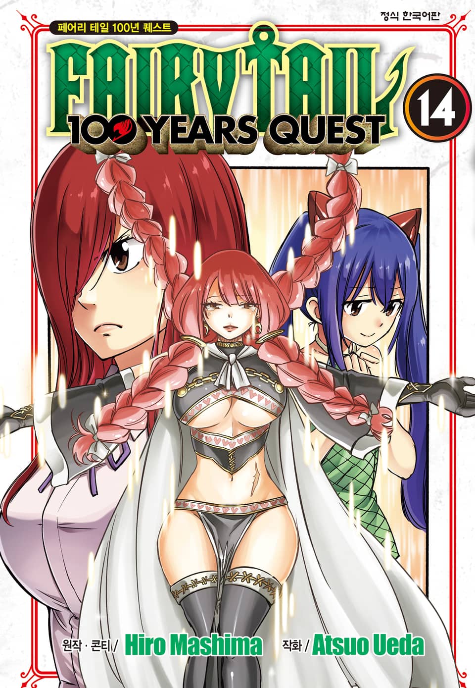 페어리 테일 100년 퀘스트 14권