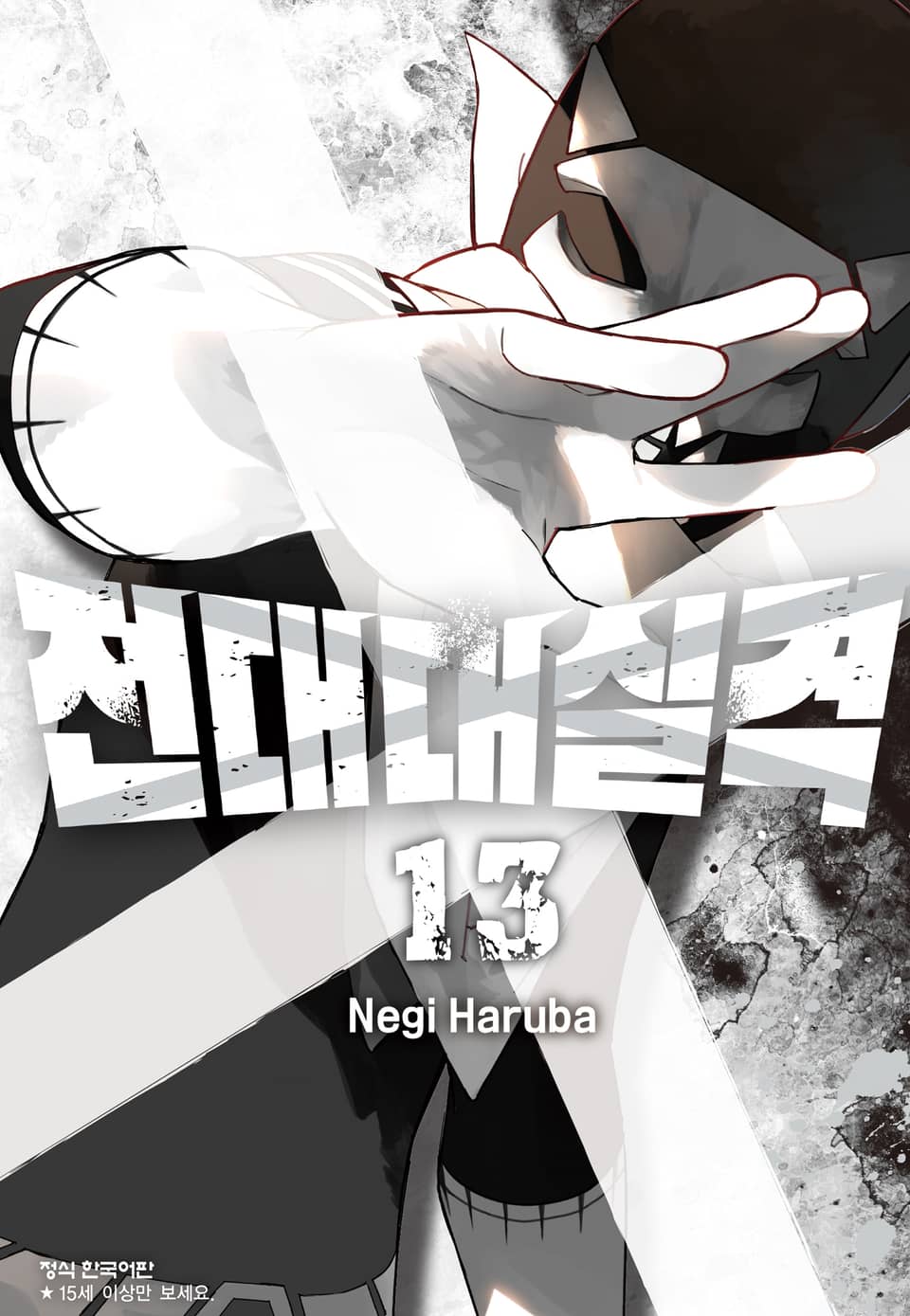 전대대실격 13권