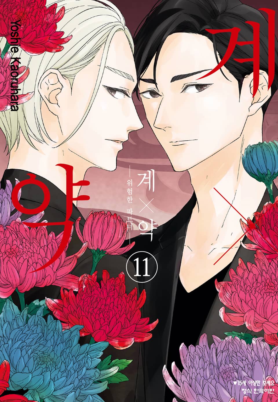계×약 -위험한 파트너- 11권