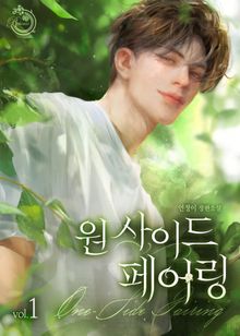 원 사이드 페어링