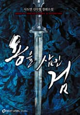 용을 삼킨 검 표지 이미지