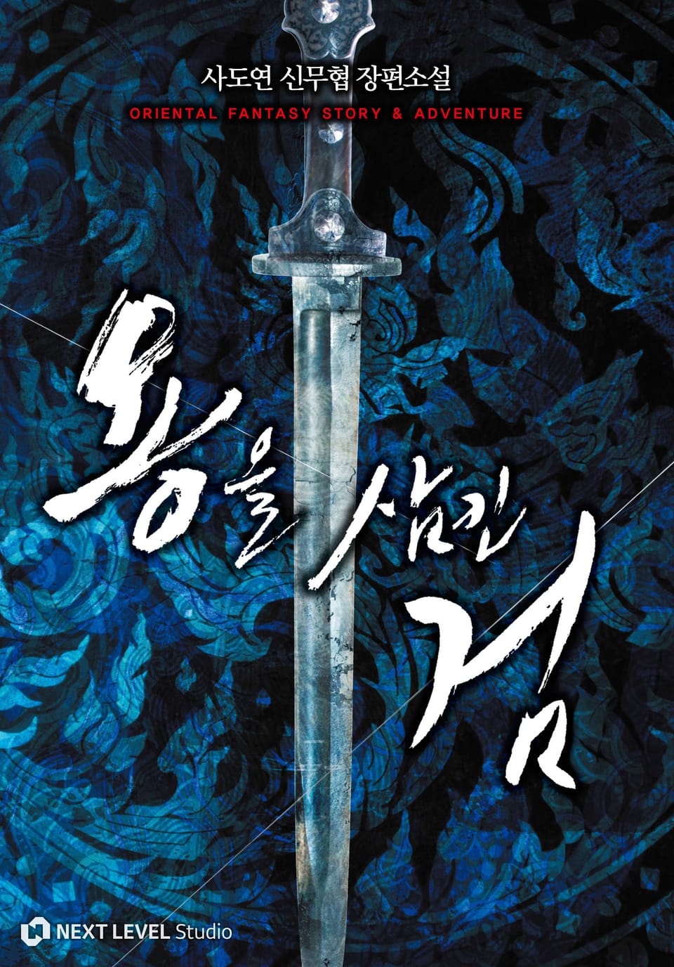 용을 삼킨 검 13권 (완결)