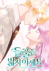 들풀을 밟지 마세요 표지 이미지