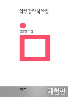 [체험판] 삼천갑자 복사빛