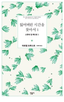 잃어버린 시간을 찾아서 1