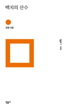 백치의 산수