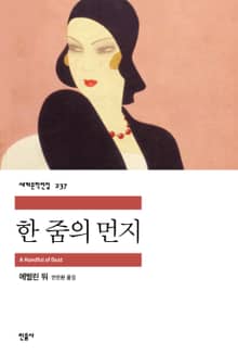 한 줌의 먼지