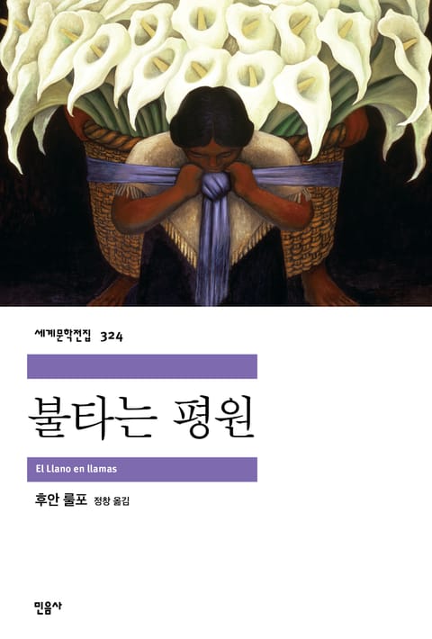 불타는 평원 표지 이미지