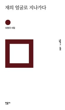 재의 얼굴로 지나가다