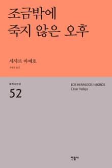 조금밖에 죽지 않은 오후