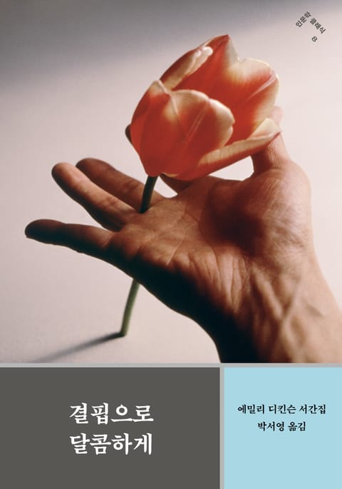 결핍으로 달콤하게 표지 이미지