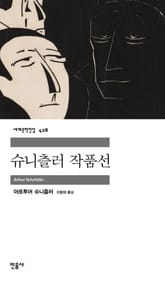슈니츨러 작품선 표지 이미지