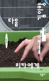 다음 리카에게 표지 이미지