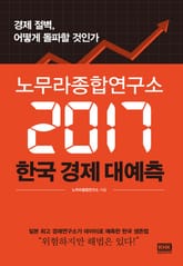 노무라종합연구소 2017 한국 경제 대예측 표지 이미지