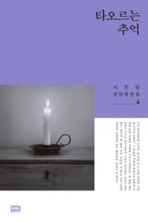 타오르는 추억 표지 이미지