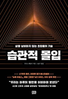 습관적 몰입