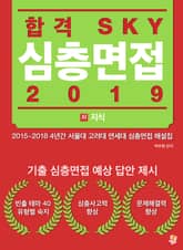 합격 SKY 심층면접(2019) : XI 지식 표지 이미지