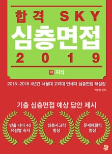 합격 SKY 심층면접(2019) : XI 지식